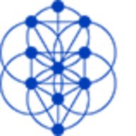 Buyer's Agent Institute logo