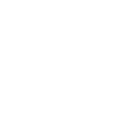 Ibiza Superfoods logo