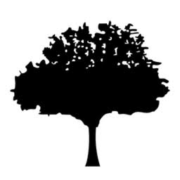 Cedar Views Windows logo