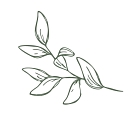 bulkpricedfoodshoppe.com logo