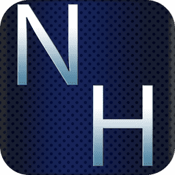 NamelessHosting logo