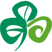Tourism Ireland US logo