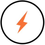 Flash Security Services Ltd logo