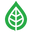 smoothroots.co logo