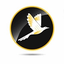 RapidAir Systems logo