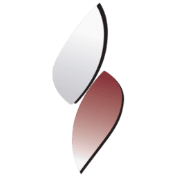 SFS Fire Engineering logo