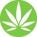 DoorBud Dispensary - Same Day Weed Delivery! logo