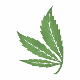 Cannabis Essentials Online logo