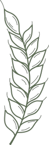 Wildflourpizza logo