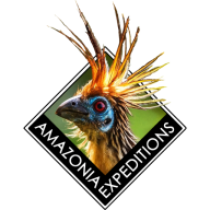 Perujungle logo