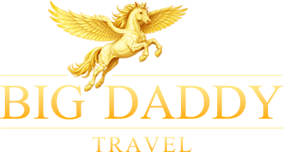 Big Daddy Travel logo