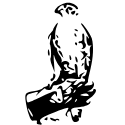 Hawkeye Bird & Animal Control logo