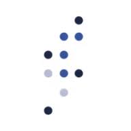 SFY Information Technology logo