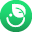 Vielgruen logo