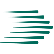 Stocalfe Response logo