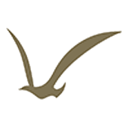 beautyx.co.uk logo