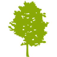 Brinkworthservices logo