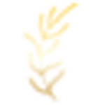 Sloane Clinic logo