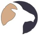 Softtouch Cashmere logo