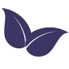 Siteway Studio logo