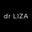 drlizashoes.com logo