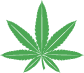 Canapamontana logo