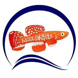 diapteron.co.uk logo