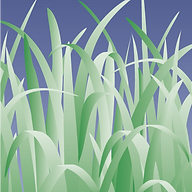 Dixons Landscapes logo