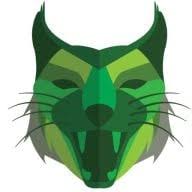 Custom Lynx logo