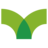 more2life logo
