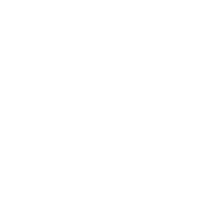 007executivetravel logo