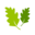 Oak Furniture House logo