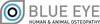 Blue Eye Osteopathy & Massage logo