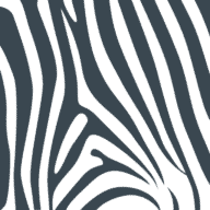 Zebra Plumbing logo