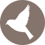 FoodforBirds logo