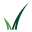 Grass Seed Online logo