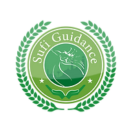 Sufiguidance Network Ltd logo