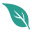 Natural Euphoria logo