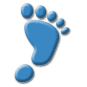 First Step Vehicle Solutions logo