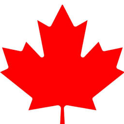 The Auto Verify logo