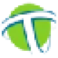 Cargotrincajes logo