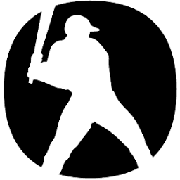 Boston Limited logo