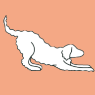 Poppet & Floof Ltd logo