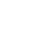 Josh Goldy Fitness logo