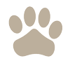 Wag Club logo
