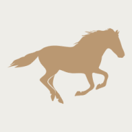 The posh pundit logo