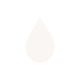 Raincity Gutters logo
