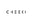 Cheekicollection logo