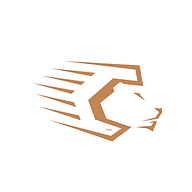Capillus London | Male Grooming logo