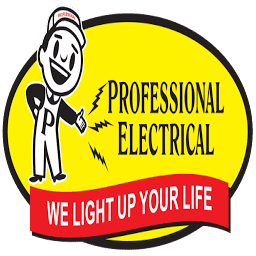 Professional Electrical logo